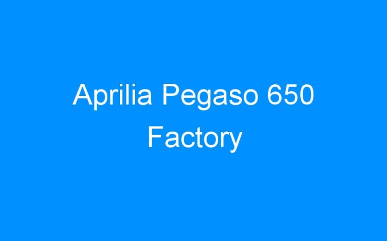 Lire la suite à propos de l’article Aprilia Pegaso 650 Factory
