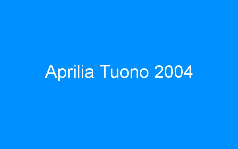 You are currently viewing Aprilia Tuono 2004