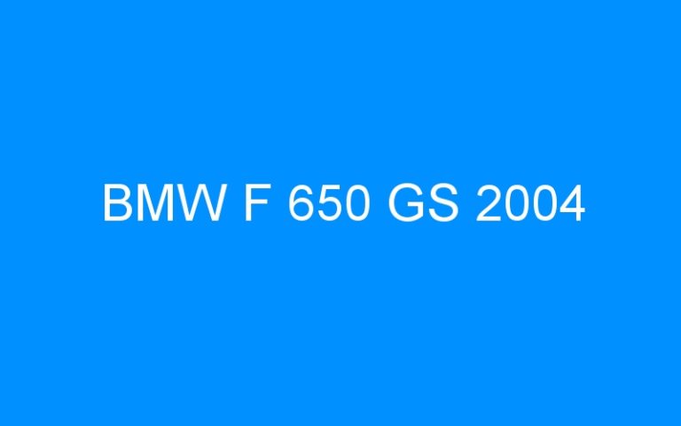 Lire la suite à propos de l’article BMW F 650 GS 2004