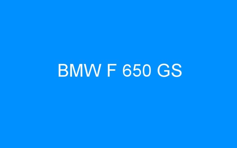 Lire la suite à propos de l’article BMW F 650 GS