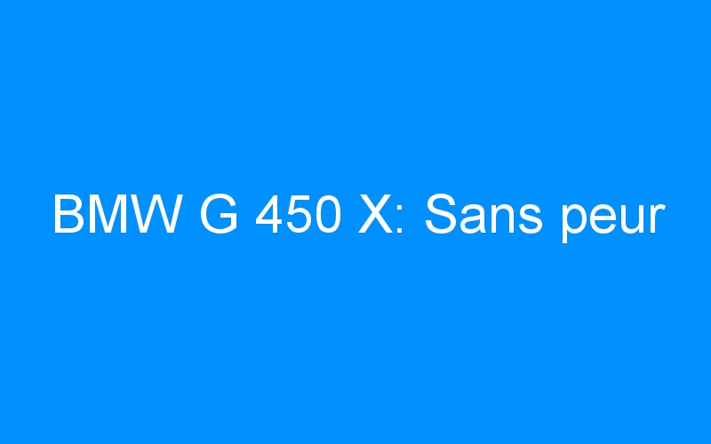 You are currently viewing BMW G 450 X: Sans peur