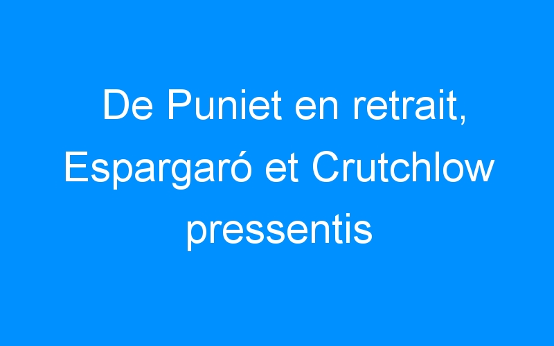 You are currently viewing De Puniet en retrait, Espargaró et Crutchlow pressentis