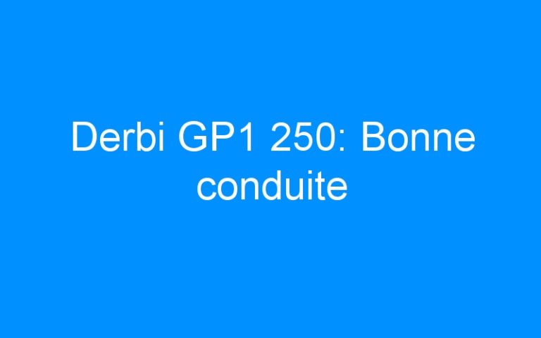 Derbi GP1 250: Bonne conduite