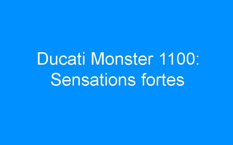 You are currently viewing Ducati Monster 1100: Sensations fortes