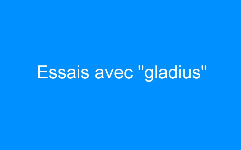 You are currently viewing Essais avec « gladius »