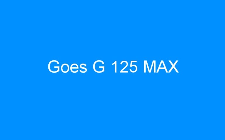 Lire la suite à propos de l’article Goes G 125 MAX