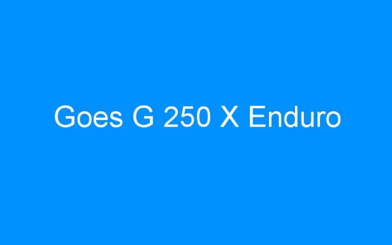 Lire la suite à propos de l’article Goes G 250 X Enduro