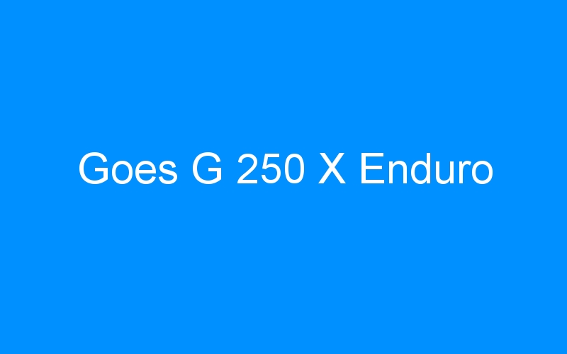 You are currently viewing Goes G 250 X Enduro