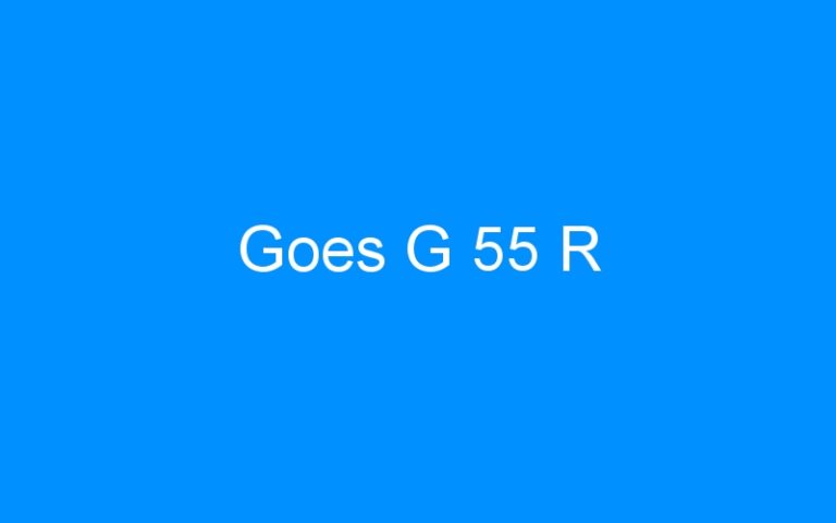 Lire la suite à propos de l’article Goes G 55 R