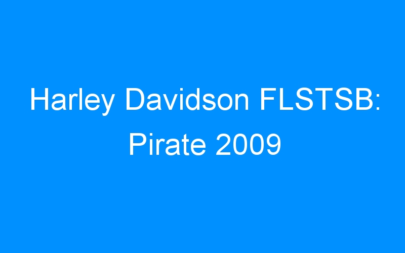 You are currently viewing Harley Davidson FLSTSB: Pirate 2009
