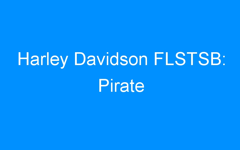 Harley Davidson FLSTSB: Pirate