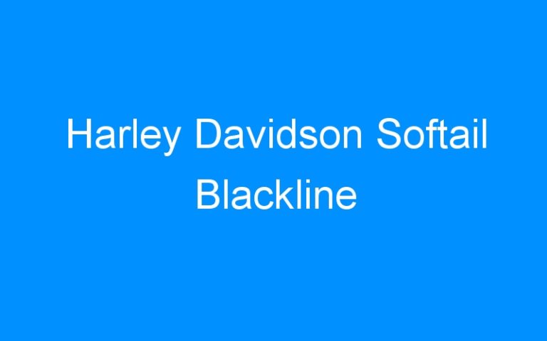 Lire la suite à propos de l’article Harley Davidson Softail Blackline
