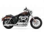 You are currently viewing Harley Davidson Sportster XL 1200C-ANV Custom 110th Anv.