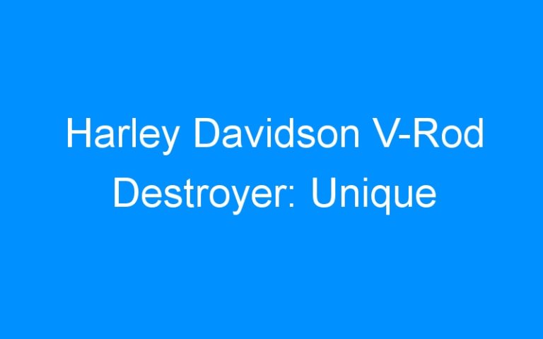 Lire la suite à propos de l’article Harley Davidson V-Rod Destroyer: Unique