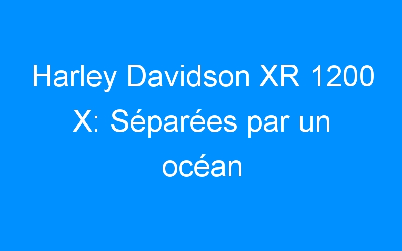Harley Davidson XR 1200 X: Séparées par un océan