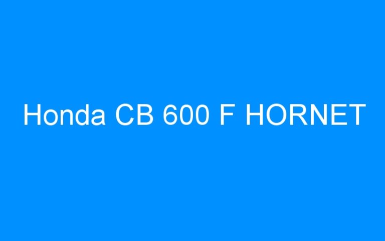 Lire la suite à propos de l’article Honda CB 600 F HORNET