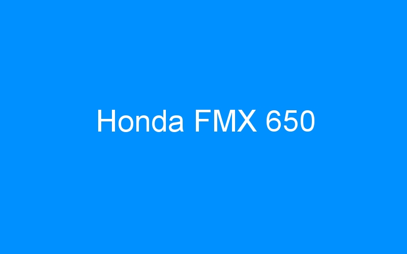 You are currently viewing Honda FMX 650