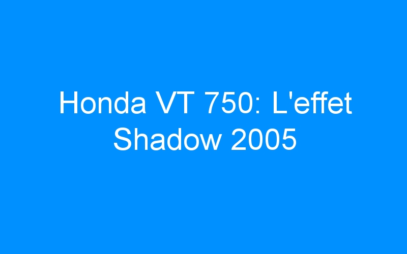 You are currently viewing Honda VT 750: L’effet Shadow 2005