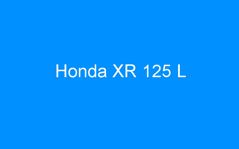 You are currently viewing Honda XR 125 L