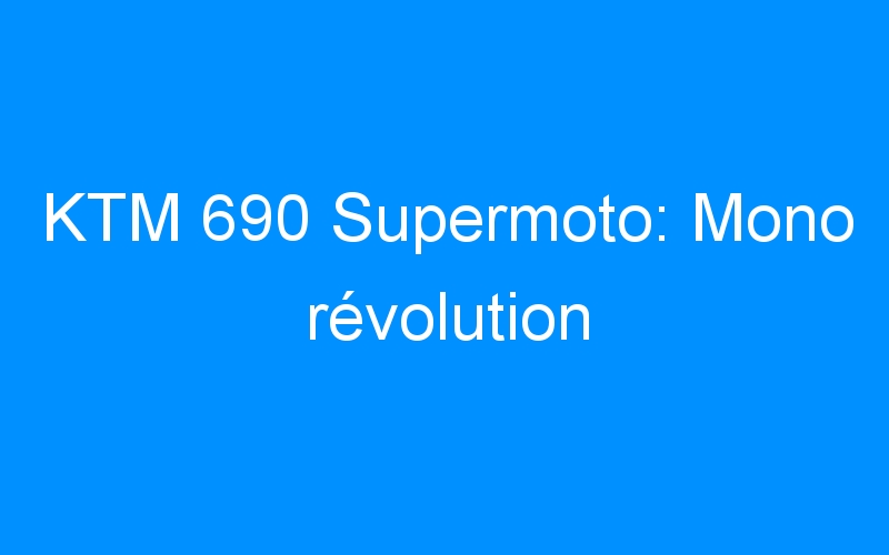 KTM 690 Supermoto: Mono révolution