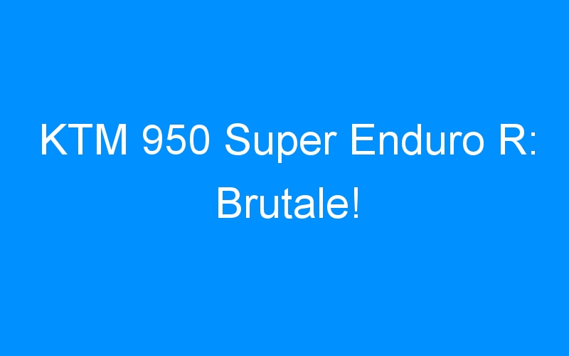 KTM 950 Super Enduro R: Brutale!