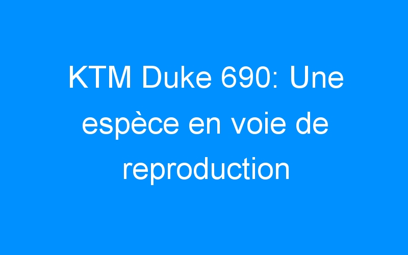 You are currently viewing KTM Duke 690: Une espèce en voie de reproduction