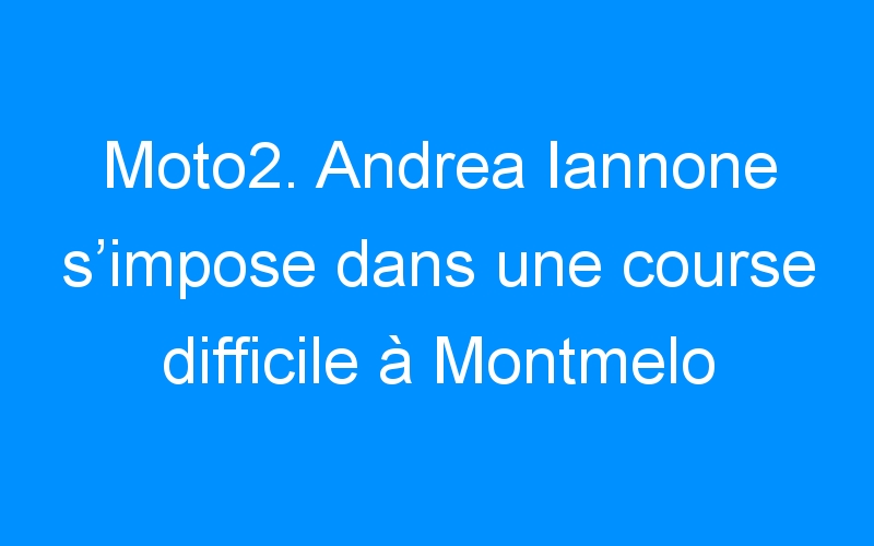 Moto2. Andrea Iannone s’impose dans une course difficile à Montmelo