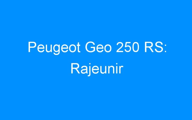 Peugeot Geo 250 RS: Rajeunir