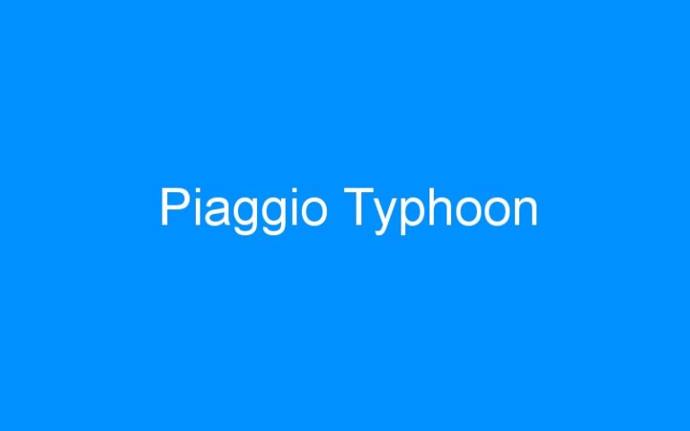 Lire la suite à propos de l’article Piaggio Typhoon