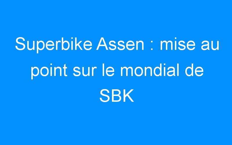 You are currently viewing Superbike Assen : mise au point sur le mondial de SBK
