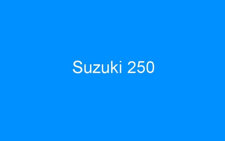 Lire la suite à propos de l’article Suzuki 250