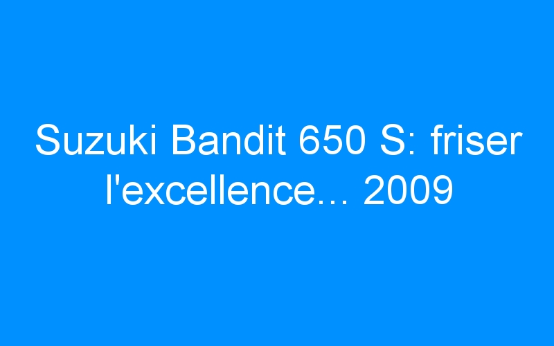Suzuki Bandit 650 S: friser l’excellence… 2009