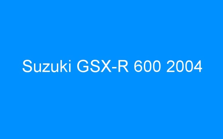Lire la suite à propos de l’article Suzuki GSX-R 600 2004