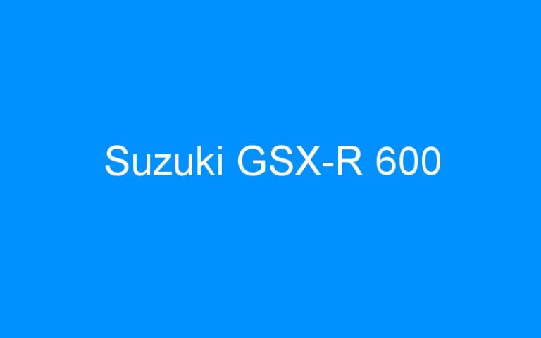 Lire la suite à propos de l’article Suzuki GSX-R 600