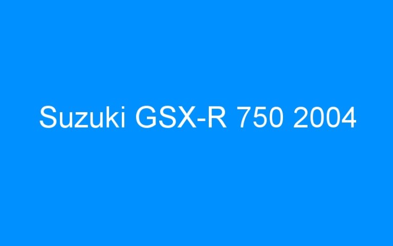 Lire la suite à propos de l’article Suzuki GSX-R 750 2004