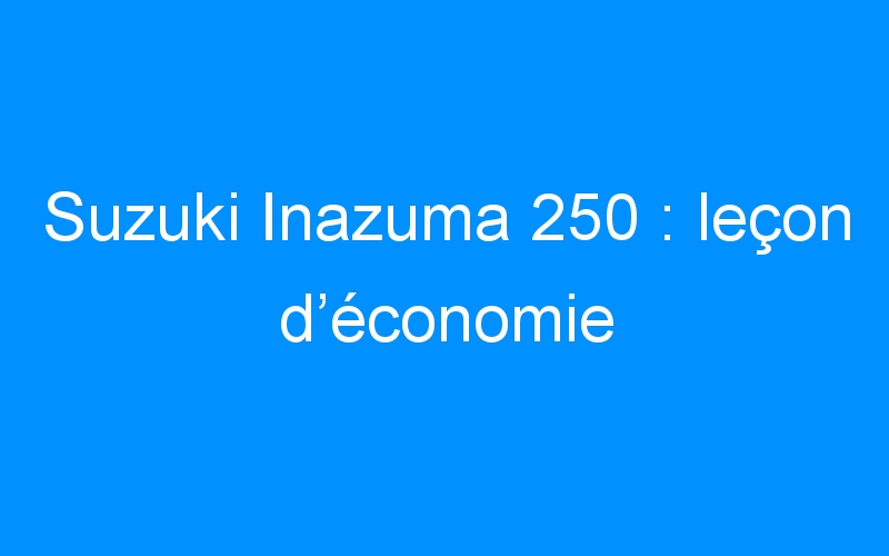 You are currently viewing Suzuki Inazuma 250 : leçon d’économie