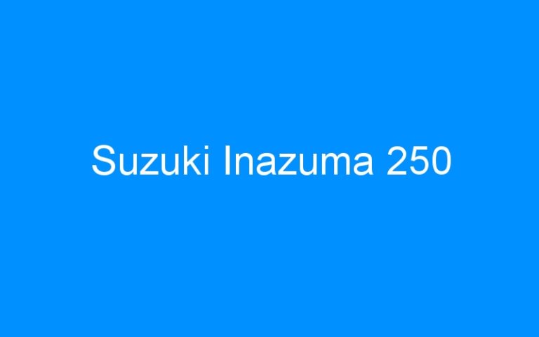 Lire la suite à propos de l’article Suzuki Inazuma 250