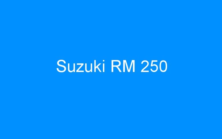 Lire la suite à propos de l’article Suzuki RM 250
