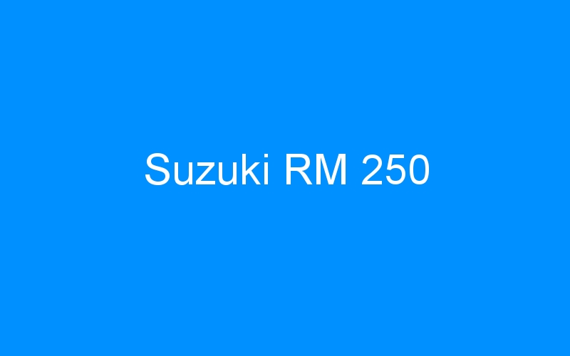 You are currently viewing Suzuki RM 250