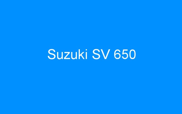 Lire la suite à propos de l’article Suzuki SV 650
