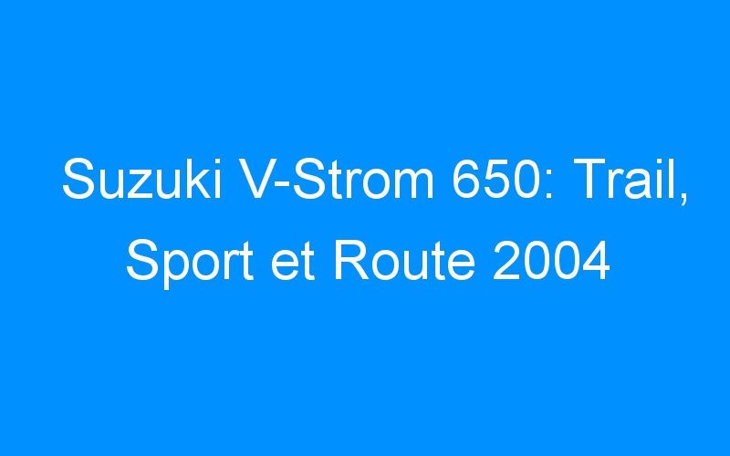 Suzuki V-Strom 650: Trail, Sport et Route 2004
