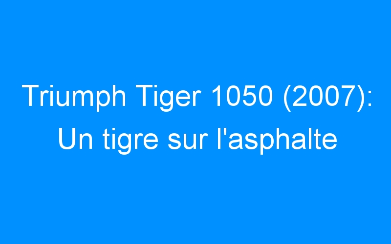 You are currently viewing Triumph Tiger 1050 (2007): Un tigre sur l’asphalte