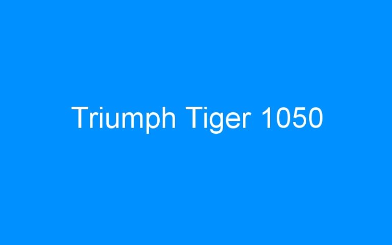 Lire la suite à propos de l’article Triumph Tiger 1050