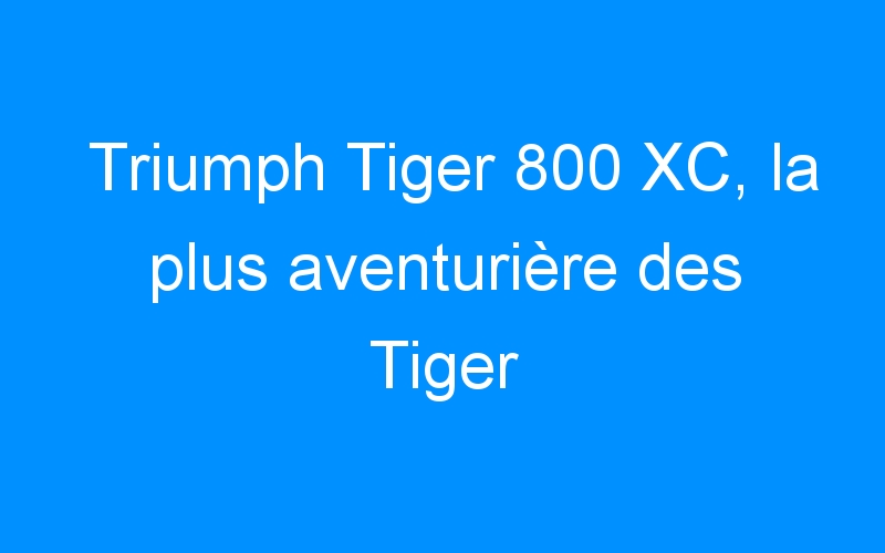 You are currently viewing Triumph Tiger 800 XC, la plus aventurière des Tiger