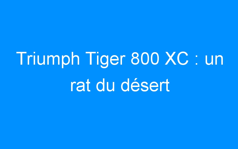 You are currently viewing Triumph Tiger 800 XC : un rat du désert