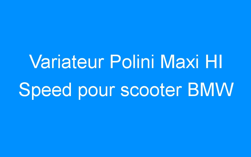 You are currently viewing Variateur Polini Maxi HI Speed pour scooter BMW