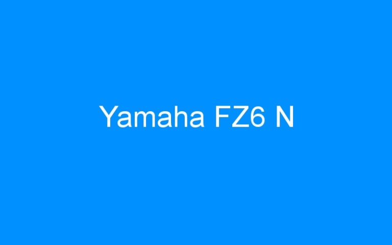 Lire la suite à propos de l’article Yamaha FZ6 N
