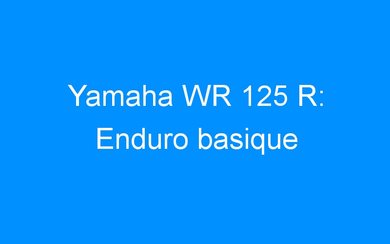 Yamaha WR 125 R: Enduro basique