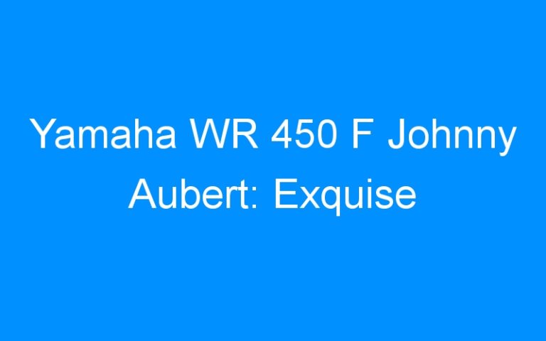 Lire la suite à propos de l’article Yamaha WR 450 F Johnny Aubert: Exquise