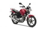 You are currently viewing Yamaha YBR 125 2005